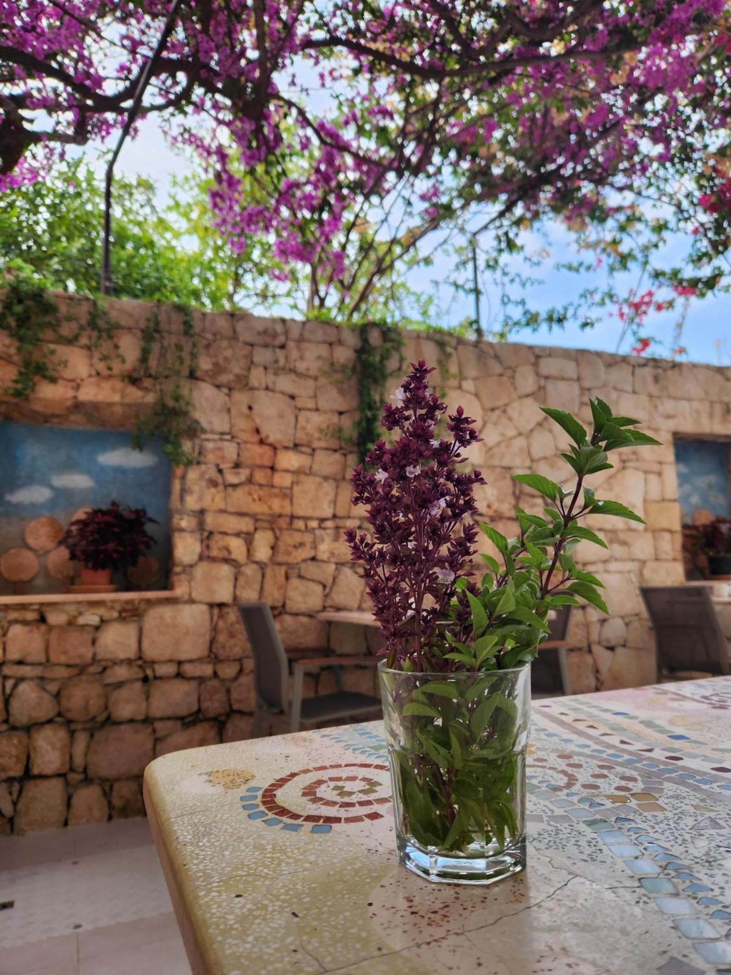 Hotel Begonvil Kaş Ngoại thất bức ảnh